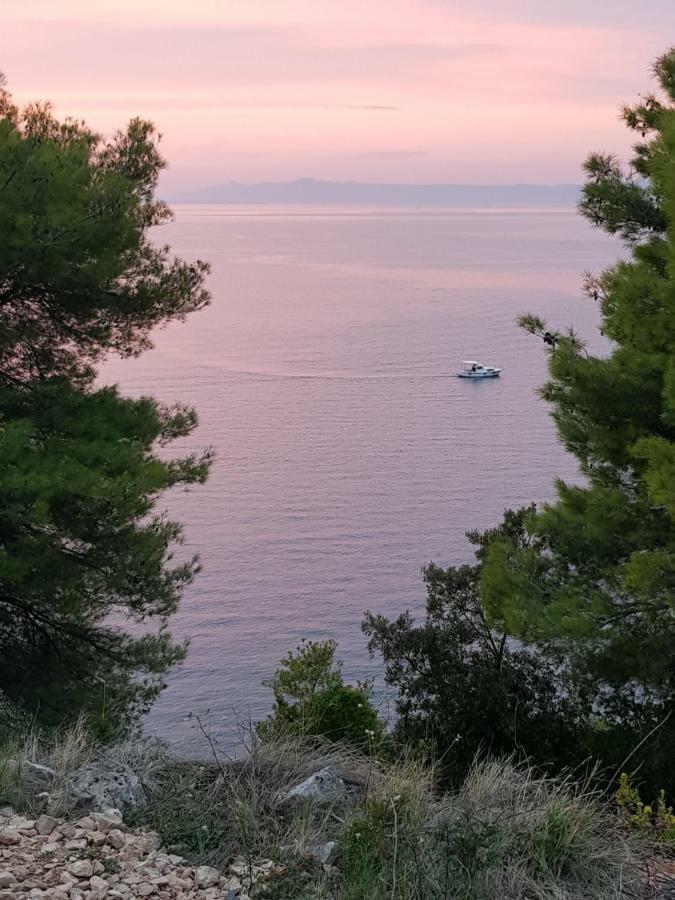 Luxury Apartment Korcula - Villa Sunny Days Exterior foto